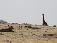 Etosha2011010 : Etosha, Leisurewheels, Me, Namibia
