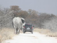 Etosha2011018 : Etosha, Leisurewheels, Me, Namibia