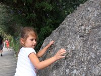 BouldersBeach013 : 2016, Boulders Beach, Emma, West Coast