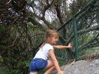 BouldersBeach015 : 2016, Boulders Beach, Emma, West Coast