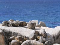 BouldersBeach018 : 2016, Boulders Beach, West Coast