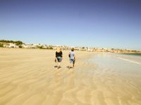 Paternoster029 : 2016, Paternoster, West Coast